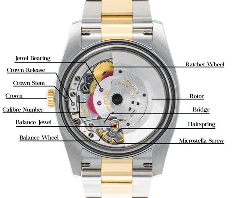 how rolex watches work|rolex watch rotator.